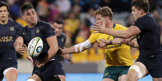 Rugby Championship Preview – Australia vs Argentina - Americas Rugby News