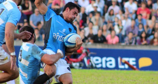 uruguay los teros argentina los pumas americas rugby news