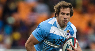 gonzalo camacho argentina pumas rugby championship americas rugby news