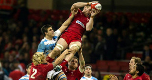 wales argentina pumas bradley davies rugby world cup americas rugby news