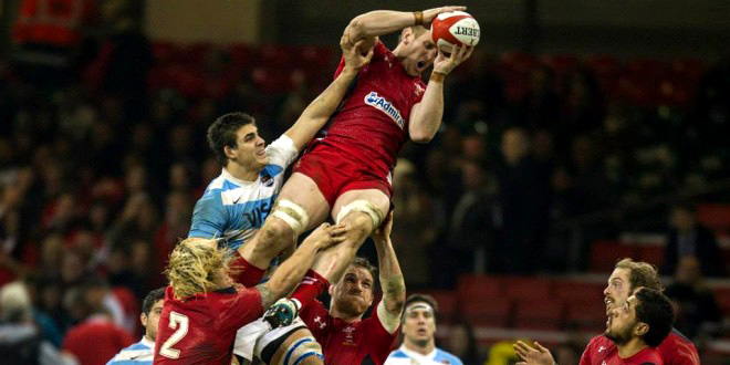 wales argentina pumas bradley davies rugby world cup americas rugby news