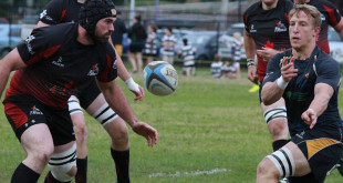 mike hamson brad lester nova scotia keltics newfoundland rock atlantic senior league canada americas rugby news