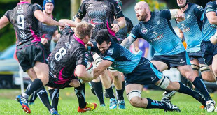 wolf pack ontario blues canadian rugby championship crc americas rugby news