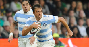 juan martin hernandez argentina pumas americas rugby news