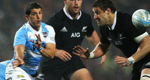 argentina tomas cubelli new zealand brumbies rugby championship americas rugby news