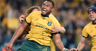 sekope kepu australia wallabies new zealand all blacks bledisloe cup rugby championship americas rugby news