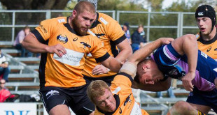 new south wales nsw country eagles nrc national rugby championship canada jake ilnicki americas rugby news
