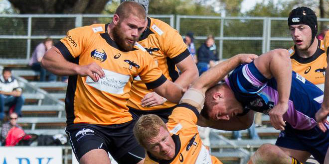 new south wales nsw country eagles nrc national rugby championship canada jake ilnicki americas rugby news
