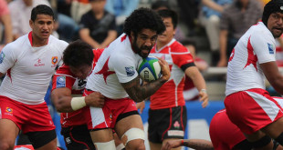 tonga hale t-pole japan pacific nations cup ikale tahi brave blossoms americas rugby news