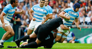 argentina guido petti rugby world cup new zealand pumas all blacks americas rugby news