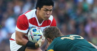 japan brave blossoms harumichi tatekawa south africa rugby world cup americas rugby news