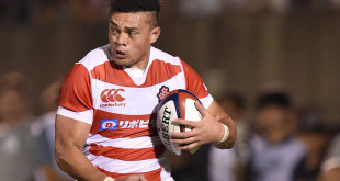 japan brave blossoms hendrik tui rugby world cup americas rugby news