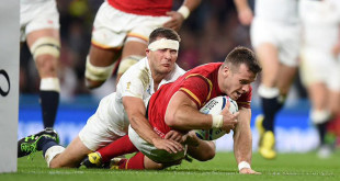 gareth davies wales england rugby world cup americas rugby news