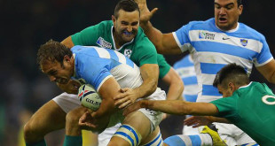 argentina pumas ireland leonardo senatore rugby world cup americas rugby news