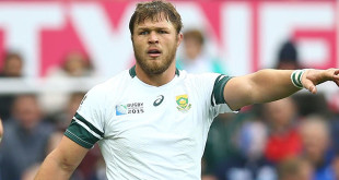 duane vermeulen south africa springboks rugby world cup americas rugby news