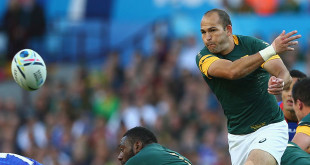 fourie du preez south africa springboks rugby world cup americas rugby news