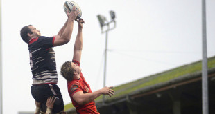 cornish pirates brett beukeboom british irish cup americas rugby news