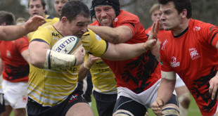 aaron carpenter cornish pirates london welsh british irish cup americas rugby news