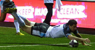 belisario agulla newcastle falcons european challenge cup americas rugby news