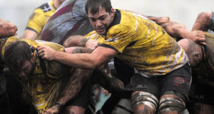 brett beukeboom cornish pirates greene king ipa championship americas rugby news